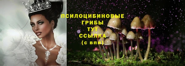 прущие крисы Нея