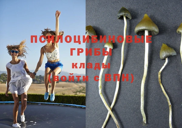 крисы Нефтекумск
